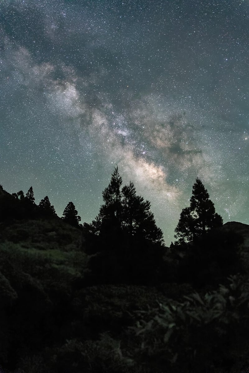 Celestial Nexus